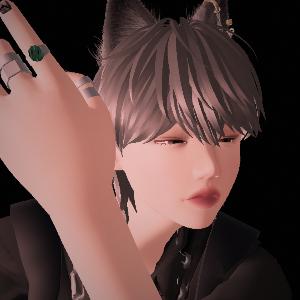 User Profile