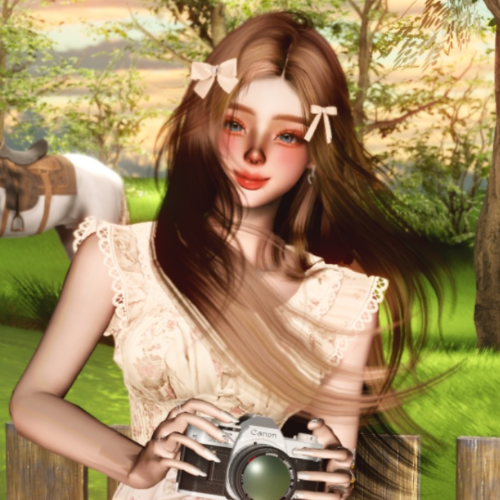 User Profile