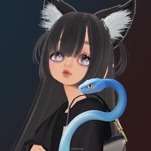 User Profile