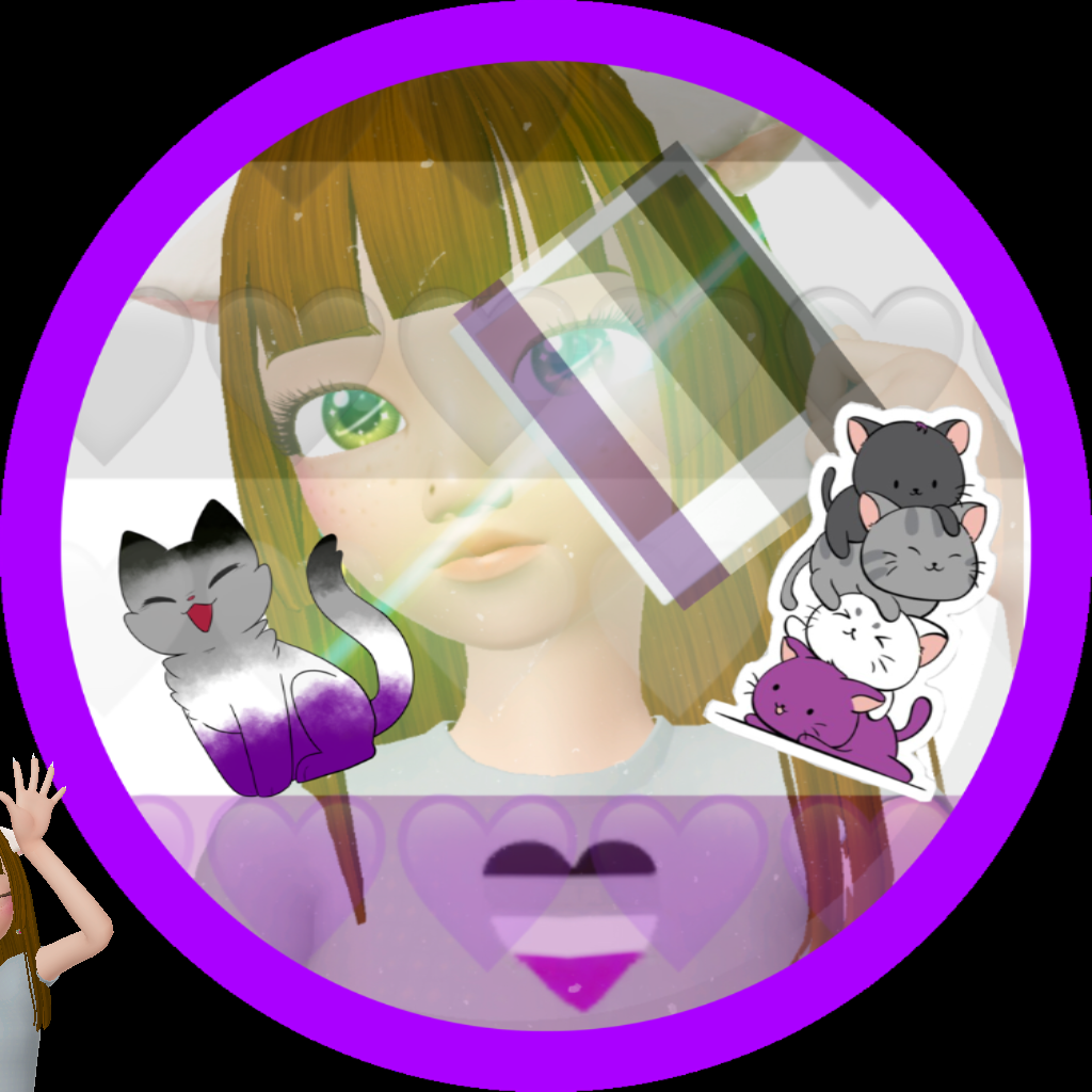 User Profile