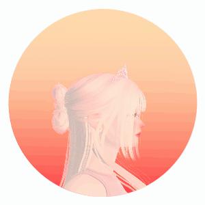 User Profile