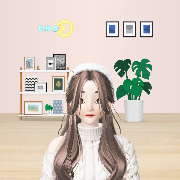 User Profile
