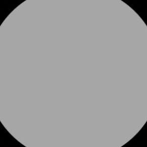 User Profile