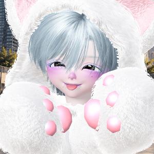 User Profile