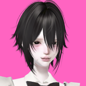 User Profile